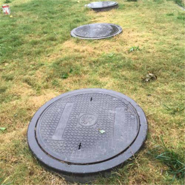 道路園區(qū)綠化